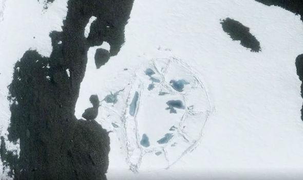 Теоретики заговора настаивают на том, что изображение Google Earth доказывает Южный полюс   когда-то был домом для древнего города