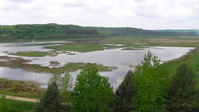 В его юго-восточной части проходит Главный европейский водораздел, на склонах которого берут начало реки, принадлежат к бассейнам двух морей - Черного и Балтийского